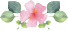 Blumen Muttertag