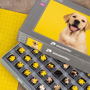 Produktneuheit SMART SORTED® – eine Revolution in der Puzzlewelt